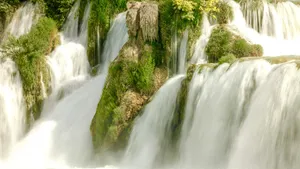 The nature of giving