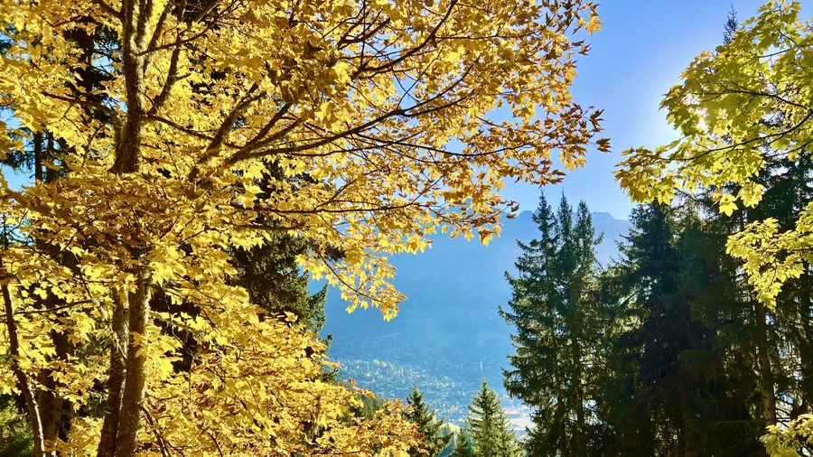 Switzerland, red water & the gold frequency