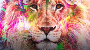 Karmic delete 4: brain & spinal cord upgrade + Earth grid realignment
