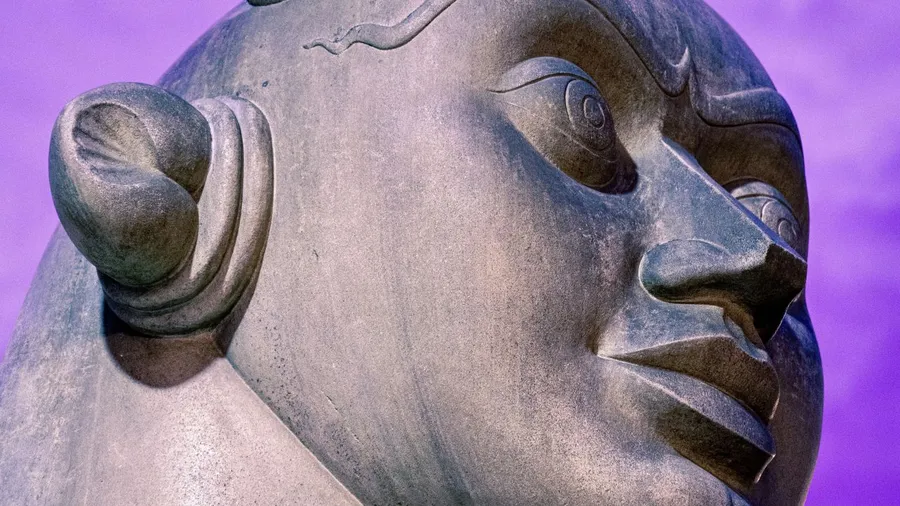 The history of freedom