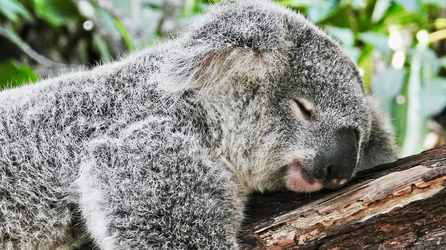 Deep sleep