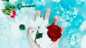 The end of the slave self: losing all spiritual identities