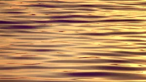 Wisdom, bliss & golden reality