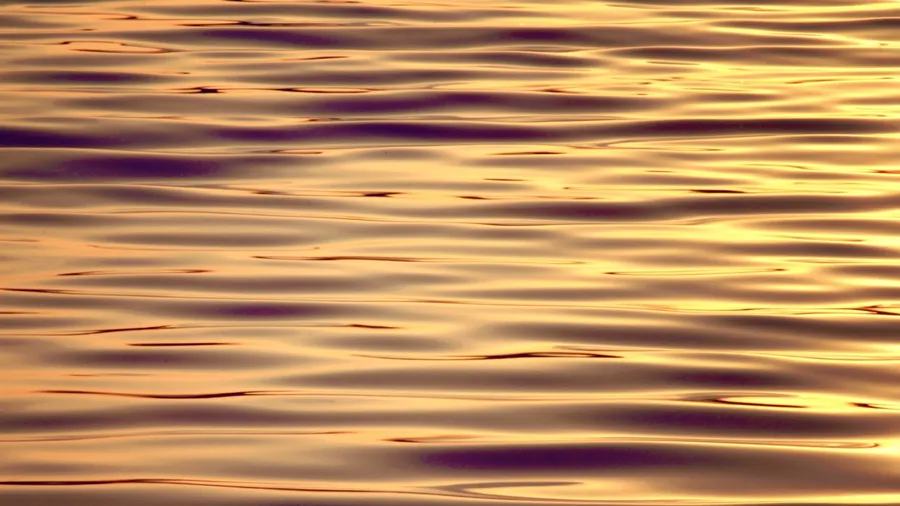 Wisdom, bliss & golden reality