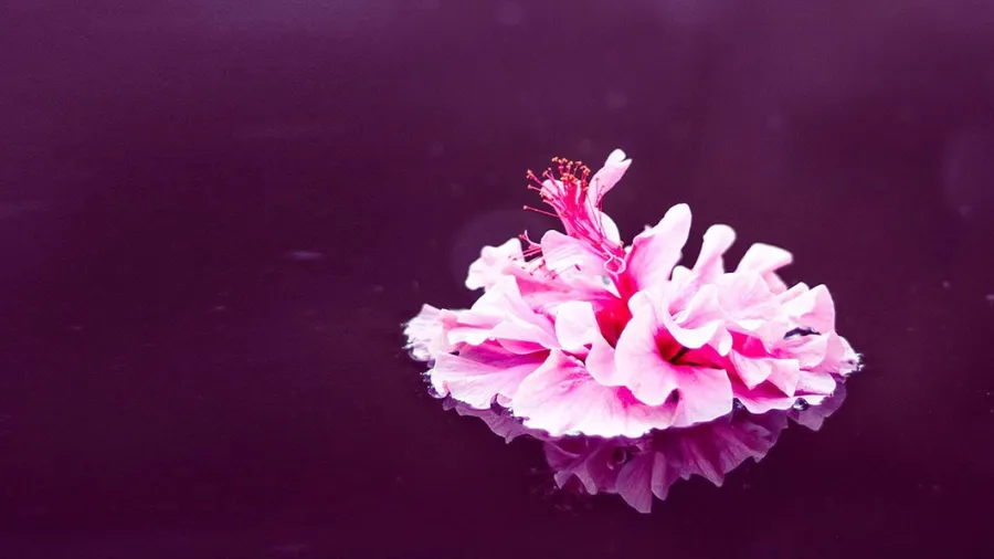 What’s wrong with positivity & creative manifestation?