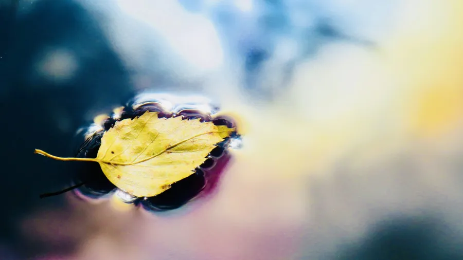 Nature & morality