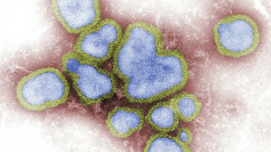 Fear is a virus