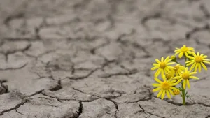 Hope & hopelessness