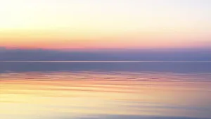 Peace & harmony