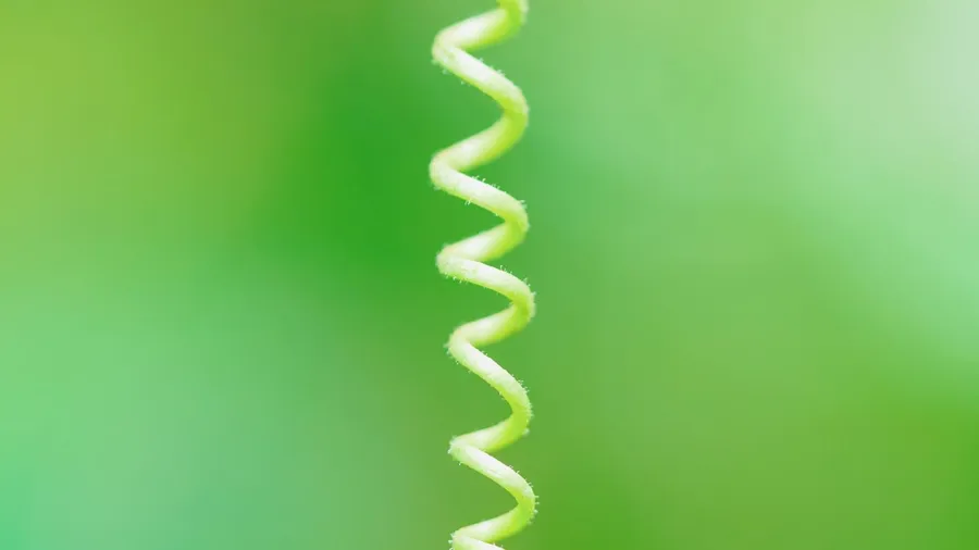 The purity setting of all humanity